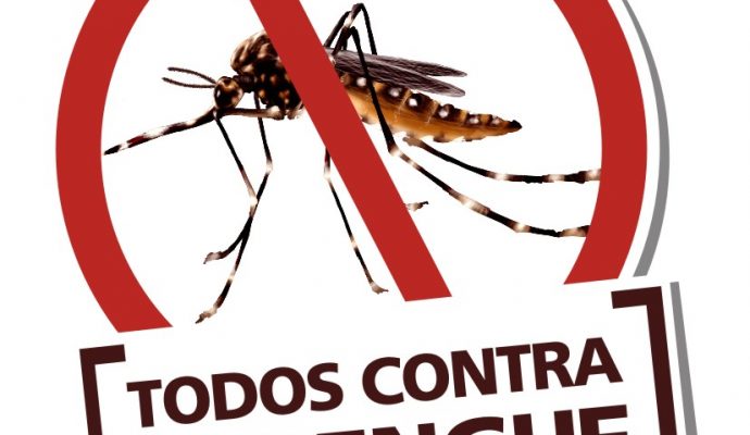 Atividade de Combate a Dengue e ao Mosquito Aedes aegypti (Saúde)